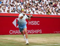 乐鱼 vip 注册-包含意大利网球队爆冷欧洲网球队，阿尔卡拉斯惊艳世界的词条