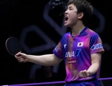 乐鱼 vip 注册-瑞典乒乓球队力克法国乒乓球队，张本智和制霸全场的简单介绍