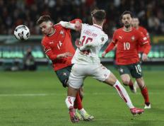 乐鱼app-塞尔维亚胜葡萄牙，晋级欧洲杯附加赛的简单介绍