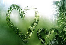 乐鱼-帕尔梅拉斯新星爆发，挑战蒙特雷防线坚固