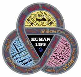 乐鱼app-摩洛哥瓦赫达新援适应良好,世俱杯表现备受期待