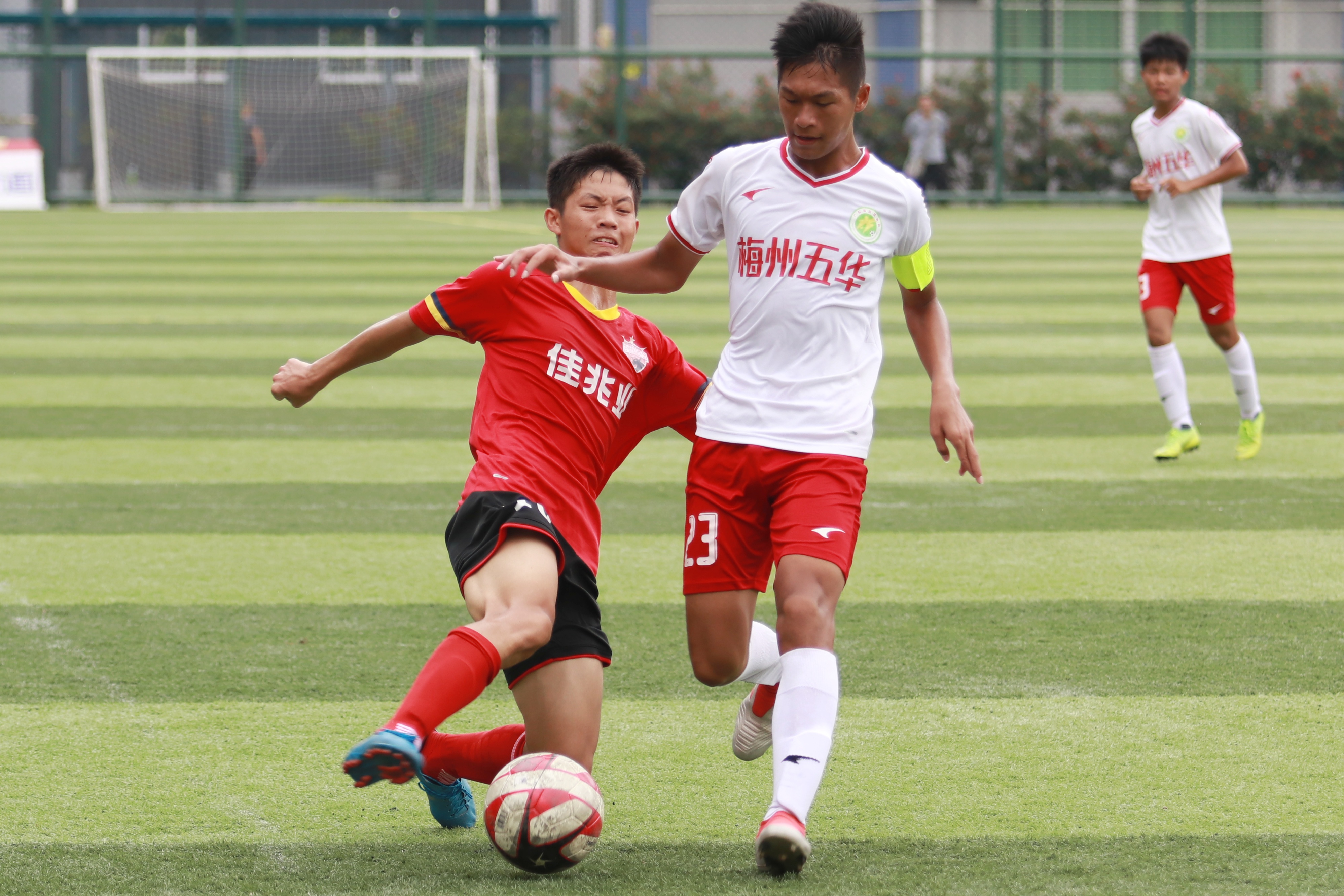 乐鱼体育网站入口-深圳佳兆业主场不敌江苏苏宁稳居中游的简单介绍