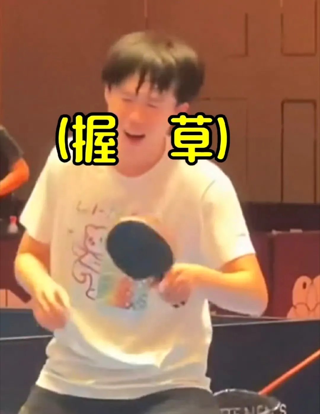 乐鱼app-关于韩国乒乓球队绝地反击日本乒乓球队,王皓完成帽子戏法的信息